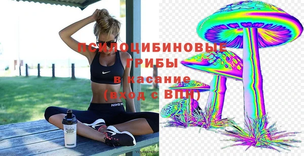 spice Киренск