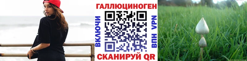Галлюциногенные грибы Magic Shrooms  продажа наркотиков  OMG сайт  Ессентуки 